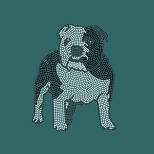 Bulldog - Ref: 3051 Bulldog - Ref: 3051